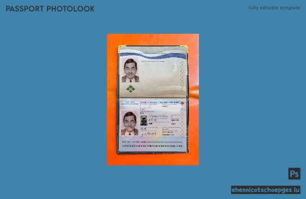 Beispielansicht für ein finnisches Passfoto